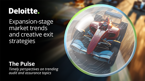 KargerKrista's tweet photo. What are the latest expansion-stage exit financing trends? And how are they influencing exit strategies? Deloitte deciphers the latest venture market activity in #ThePulseDeloitte. https://t.co/DU6aWjGlVG https://t.co/KlKztYy9z2