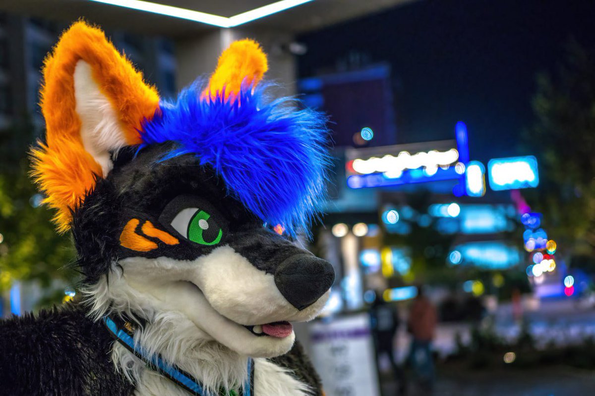 Howlie Tigerpaw the wolger maybe FWA ππΆοΈ (@howlietigerpaw) on Twitter photo Happy #FursuitFriday some cool pictures with <a href="/theBattercake/">Name cannot be blank</a> <a href="/Chutora/">Chu</a> and <a href="/MintCollie/">Mint</a> and samthefolf Happy #FursuitFriday some cool pictures with <a href="/theBattercake/">Name cannot be blank</a> <a href="/Chutora/">Chu</a> and <a href="/MintCollie/">Mint</a> and samthefolf