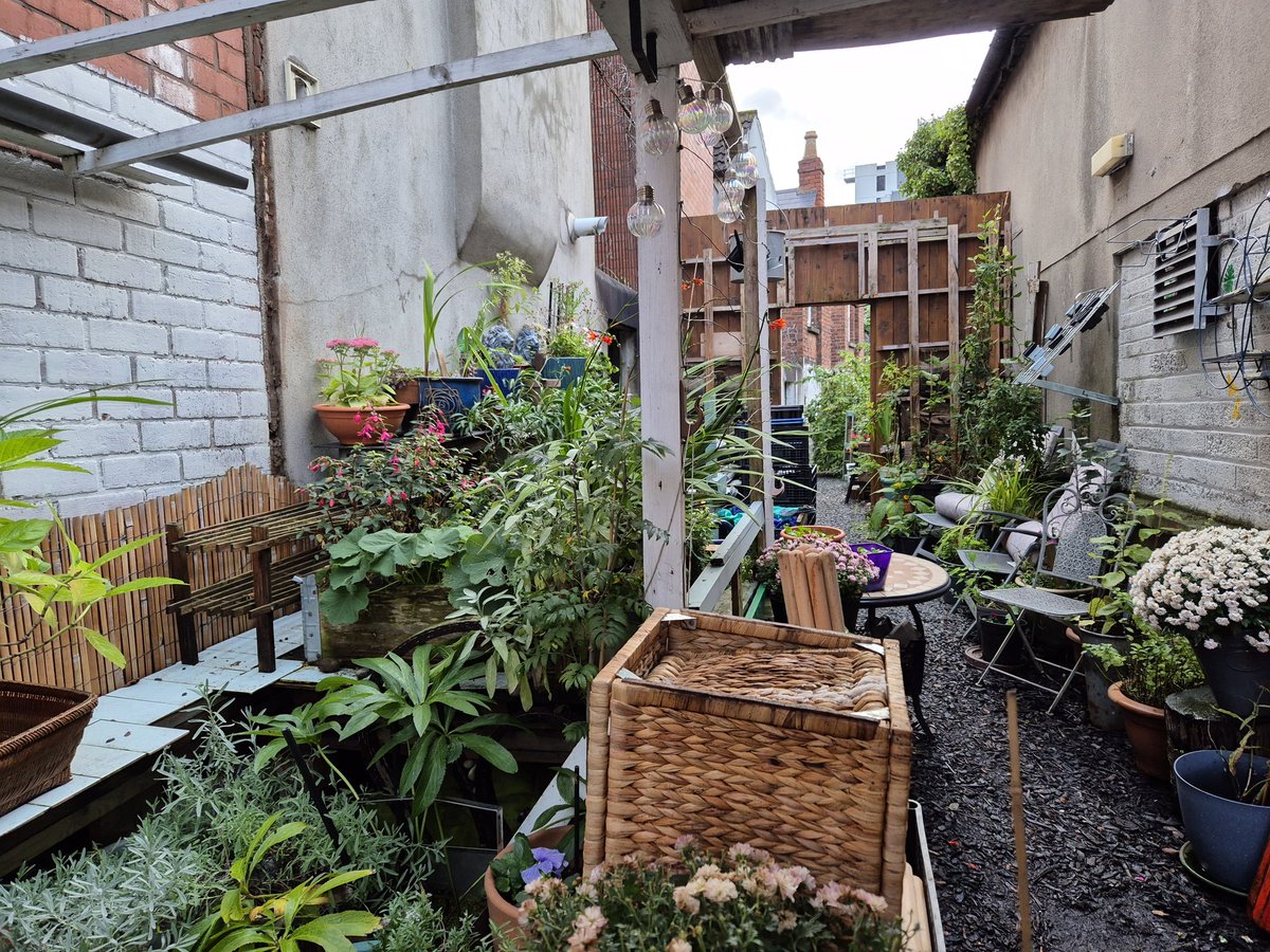 Ready to welcome you to Claremont Garden tomorrow from 2-5pm. There will be games &amp; crafts for kids, mural artist discussing what's to come for her mural and workshops for planter making &amp; stencil art. Come and see how this alley has been transformed. Sit with us for a while. 😃
