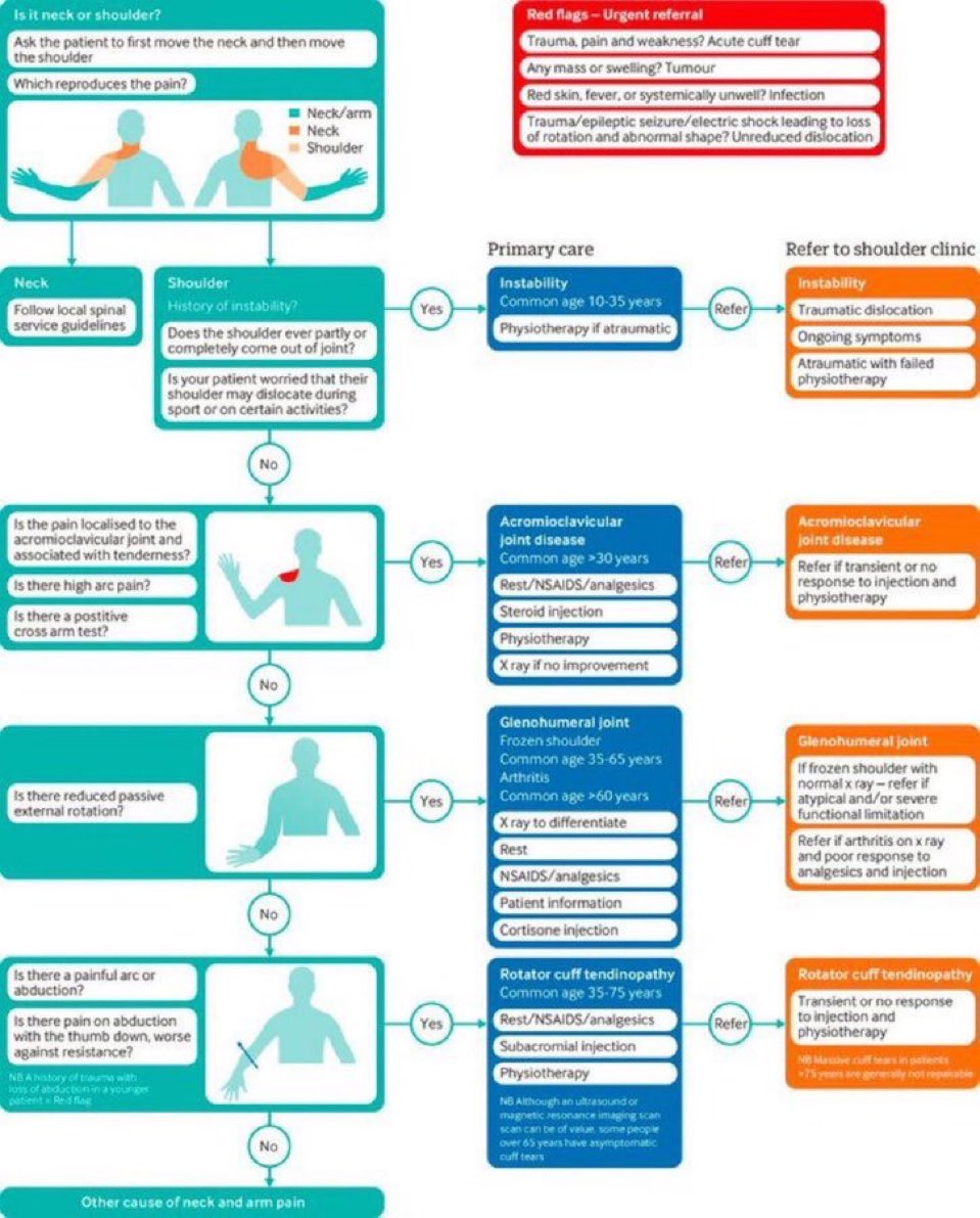 Assessment of shoulder pain in primary care👇

#shoulder #pain 

bmj.com/content/382/bm…
