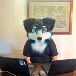 Photo by Azur 👑 💕🎉 (@AzurCollie)