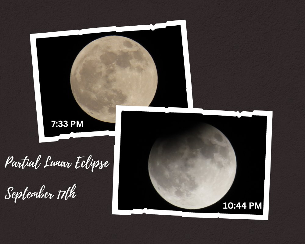 jcestero's tweet image. The latest edition of Wild Side News is now available!

This Week in Nature open.substack.com/pub/wildsidene…