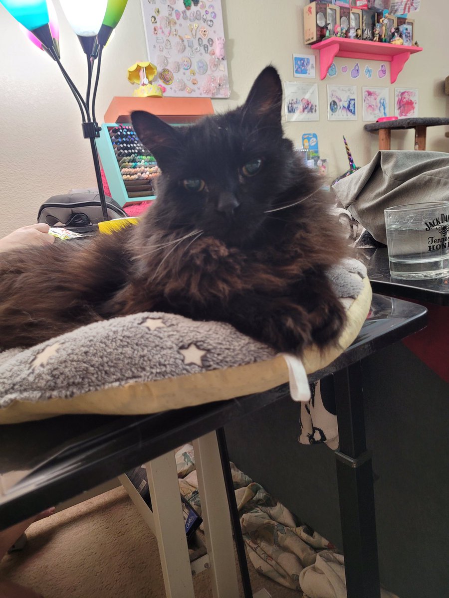 crunch element tweet media