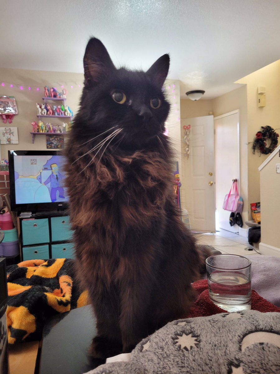 crunch element tweet media