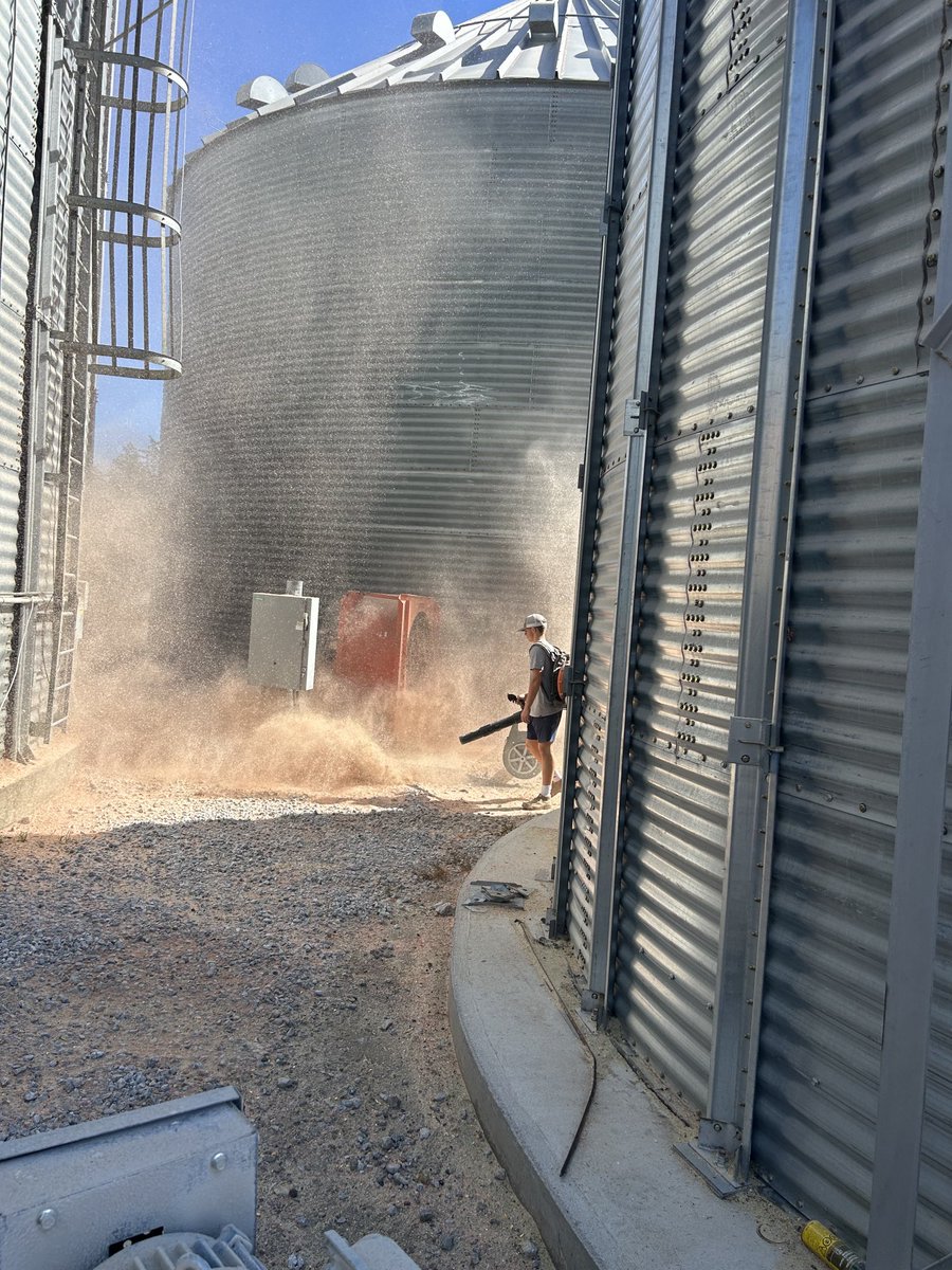 dane_chad's tweet image. Kids didn’t have school today. Chaff blower hired.