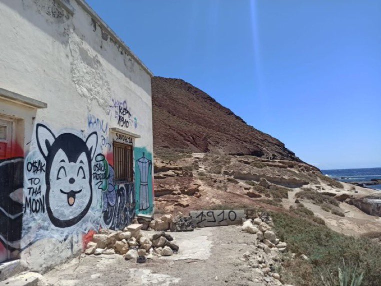 Random_Stash's tweet image. Cure your depression…buy $Osak not just a meme coin, a movement, a hope