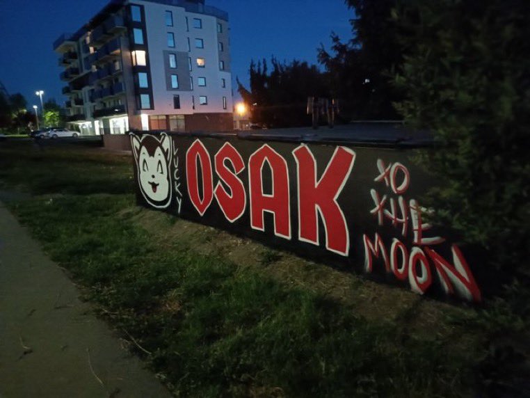 Random_Stash's tweet image. Cure your depression…buy $Osak not just a meme coin, a movement, a hope