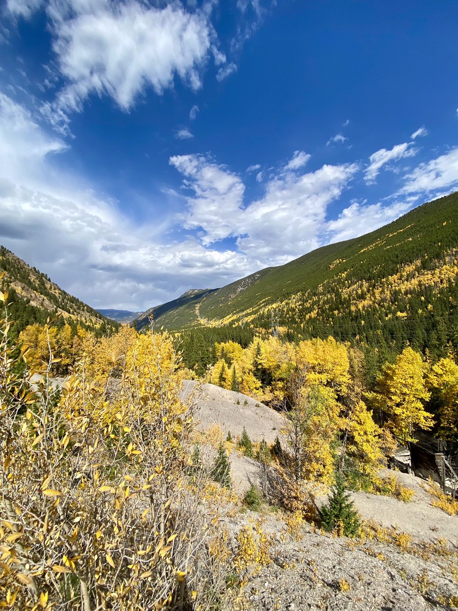 The fall colors are on point at Guanella Pass! 🍁🧡🍂💛🍁

#COwx <a href="/BianchiWeather/">Chris Bianchi</a>