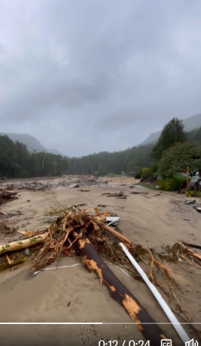 Peter Forister 🍁🍂🍁 tweet media