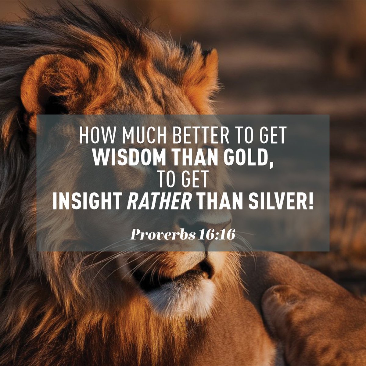 Redeemed_Men's tweet photo. Begin your day with wisdom! Join us for A Journey Through Proverbs: 10 days of Godly Wisdom. Each day, we’ll reflect on a key verse from Proverbs, diving into life-changing lessons on trusting God, building strong relationships, https://t.co/h6rZGnb2pR