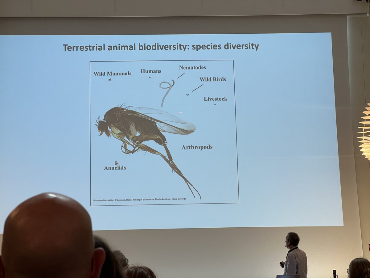 vildebier's tweet photo. Biodiversitetssymposium på Aarhus Universitet d. 25.-26. september: Et superspændende program med mange dygtige oplægsholdere. Gode diskussioner og meget ny viden 😊 + en poster med erfaringer fra vores 🐝🐝 formidlingsprojekt https://t.co/e2nvXqz9k6