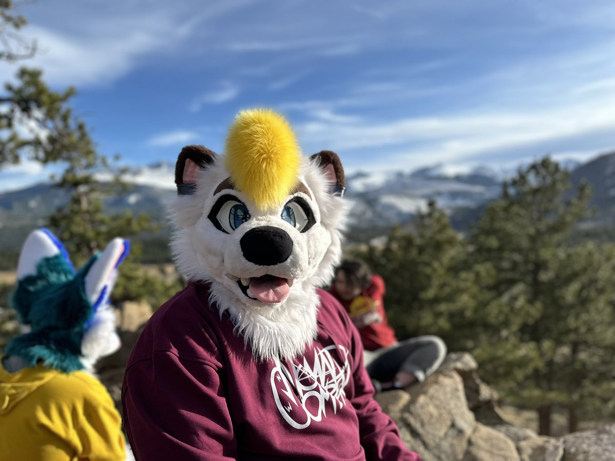 awwwhecc's tweet photo. Hurricane weather makes me miss Colorado even more today 🫠

#FursuitFriday https://t.co/G0qKO4E3Y4