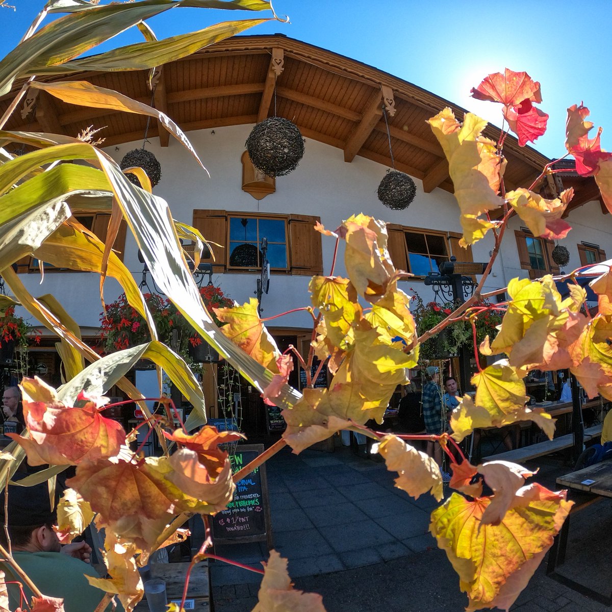 Join us at our taproom this weekend for Autumn Leaf Festival! The Grand Parade starts at noon on Saturday and will go right by our patio, so grab some friends and some beers and celebrate the changing of the seasons with us!