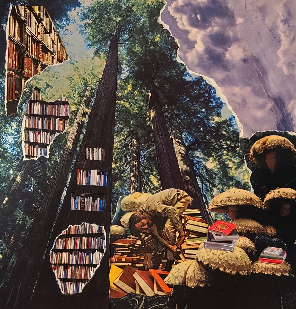 _brookst's tweet image. Most recent.