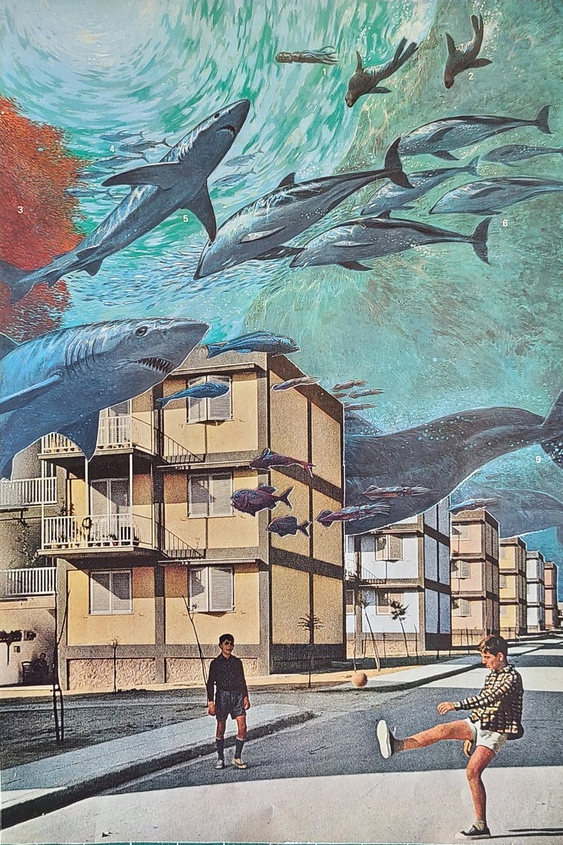 _brookst's tweet image. Most recent.