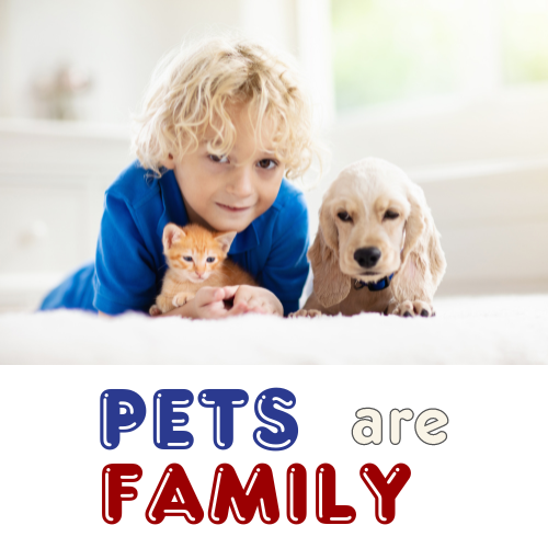 FINGERS CROSSED!  TLC submitted a bid to the City of Conroe to manage the animal shelter.  If you would like to read our proposal, we have posted it to our Projects Page of our website.  texaslittercontrol.org/life-saving-pr…