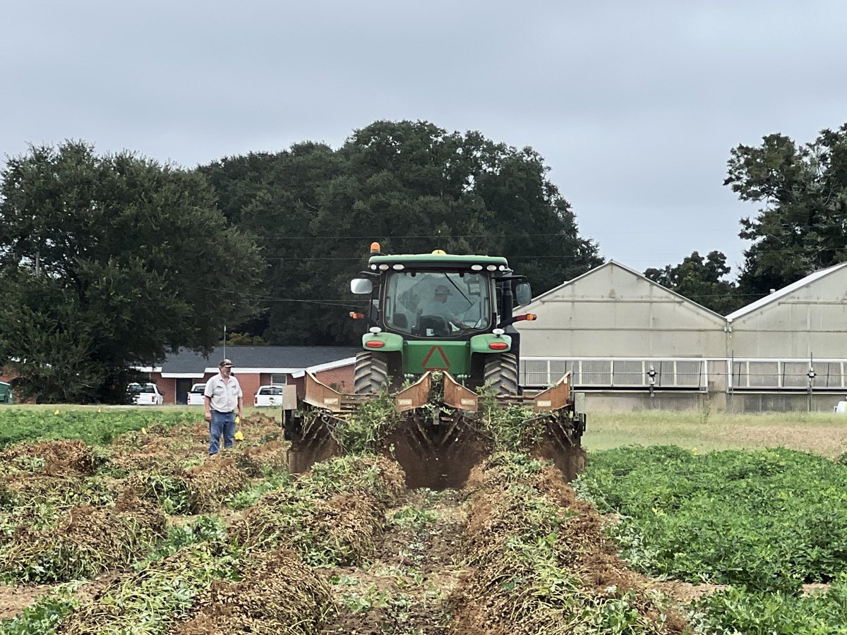 Satinder tweet media