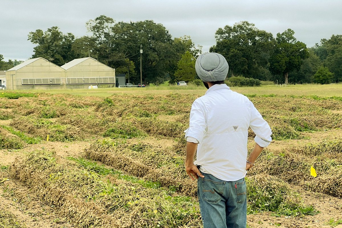 Satinder tweet media