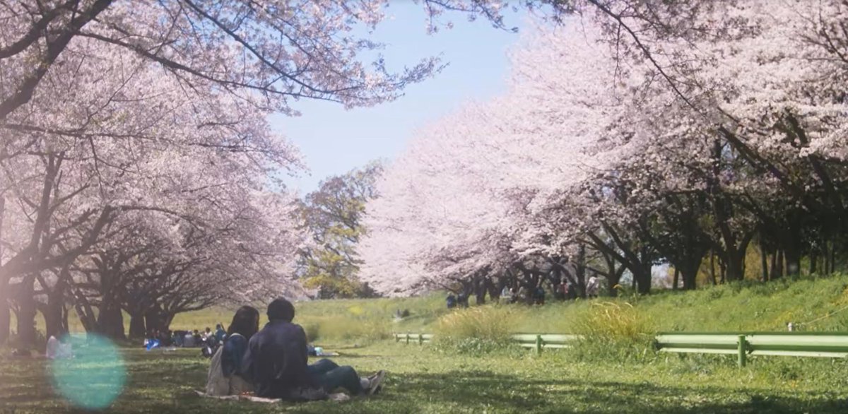 that spring was the beginning and end of my spring symphony i believed things would be different i believed our love would be different - #whatcomesafterlove 사랑 후에 오는 것들 (2024) episode 2