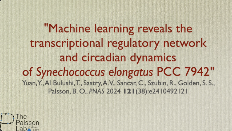 "Ask the Authors" is back!  In Episode 17, Annie Yuan takes us through her recently published paper in PNAS on the circadian dynamics of Synechococcus elongatus PCC 7942. youtu.be/5J17K6LNtzk. bit.ly/3Y2VRjf
<a href="/PNASNews/">PNASNews</a>
<a href="/UCSDJacobs/">UCSD Engineering</a>