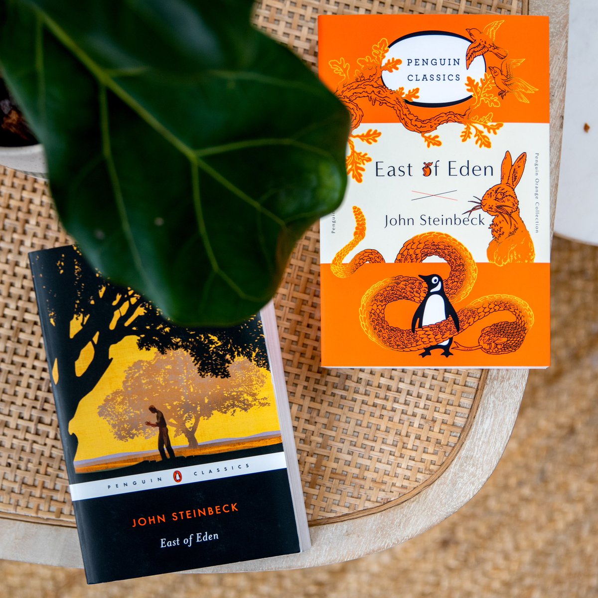 “And now that you don't have to be perfect, you can be good.” —John Steinbeck, East of Eden