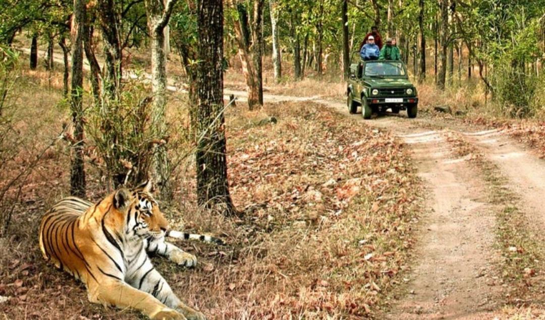On the occasion of World Tourism Day-2024, IZN Div, NER welcomes all distinguished tourists to the exquisite tourism places of the division. viz Mathura, Soron, Nainital, Purnagiri, Jim Corbett National Park etc.
