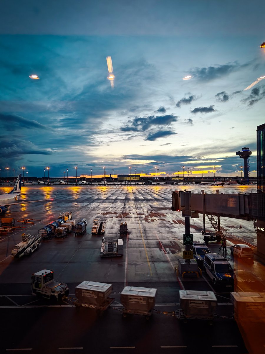 マック・シフォード  tweet media