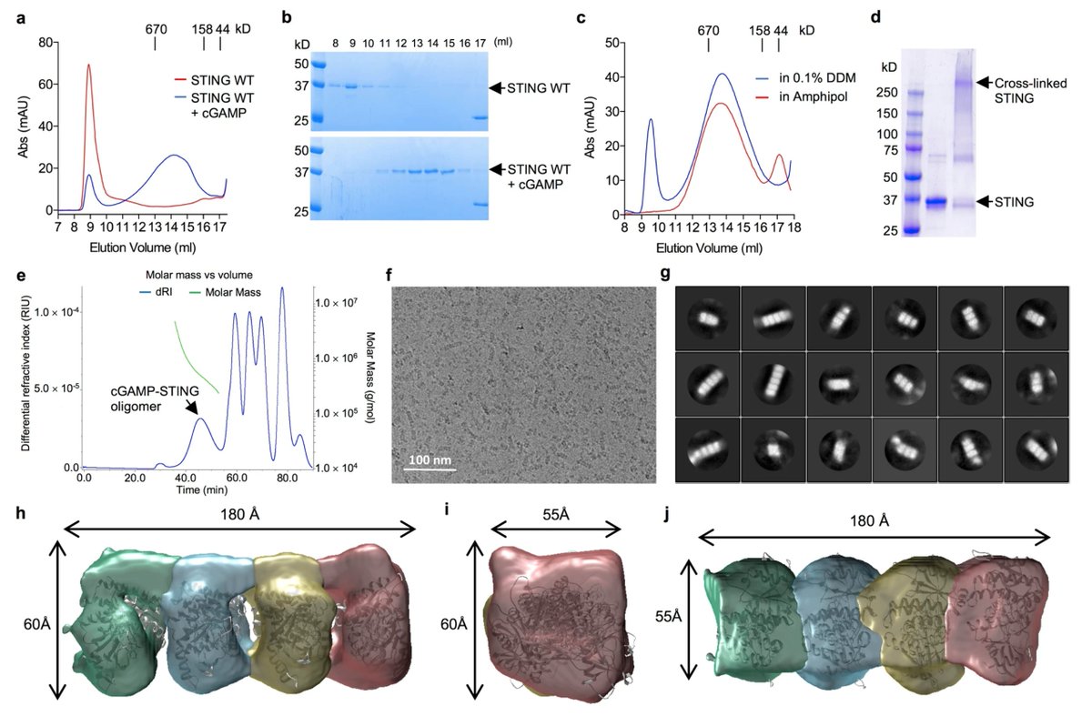 They look like worms! The first glimpse of full-length STING.