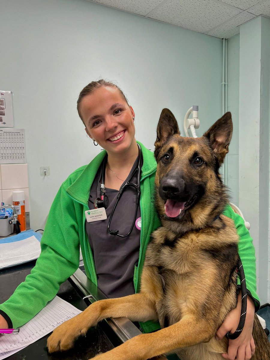WangfordVets's tweet photo. Tiberius helping Lauren with his paperwork, before his procedure this morning 🥰 https://t.co/Yosp1lrN2J