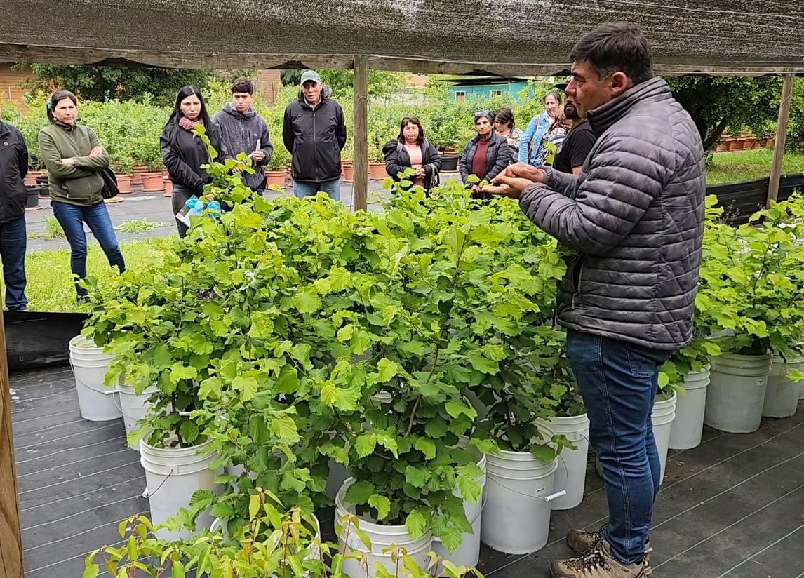 radioisadorafm's tweet image. Durante 2 días Chillán será capital mundial del Control Biológico y de  Bioinsumos.Principales científicos y especialistas del orbe se reunirán en INIA
Quilamapu entre el 16 y 17 de octubre, en la 2a Feria Tecnológica de Control Biológico y la 1ª Feria Tecnológica de Bioinsumos.
