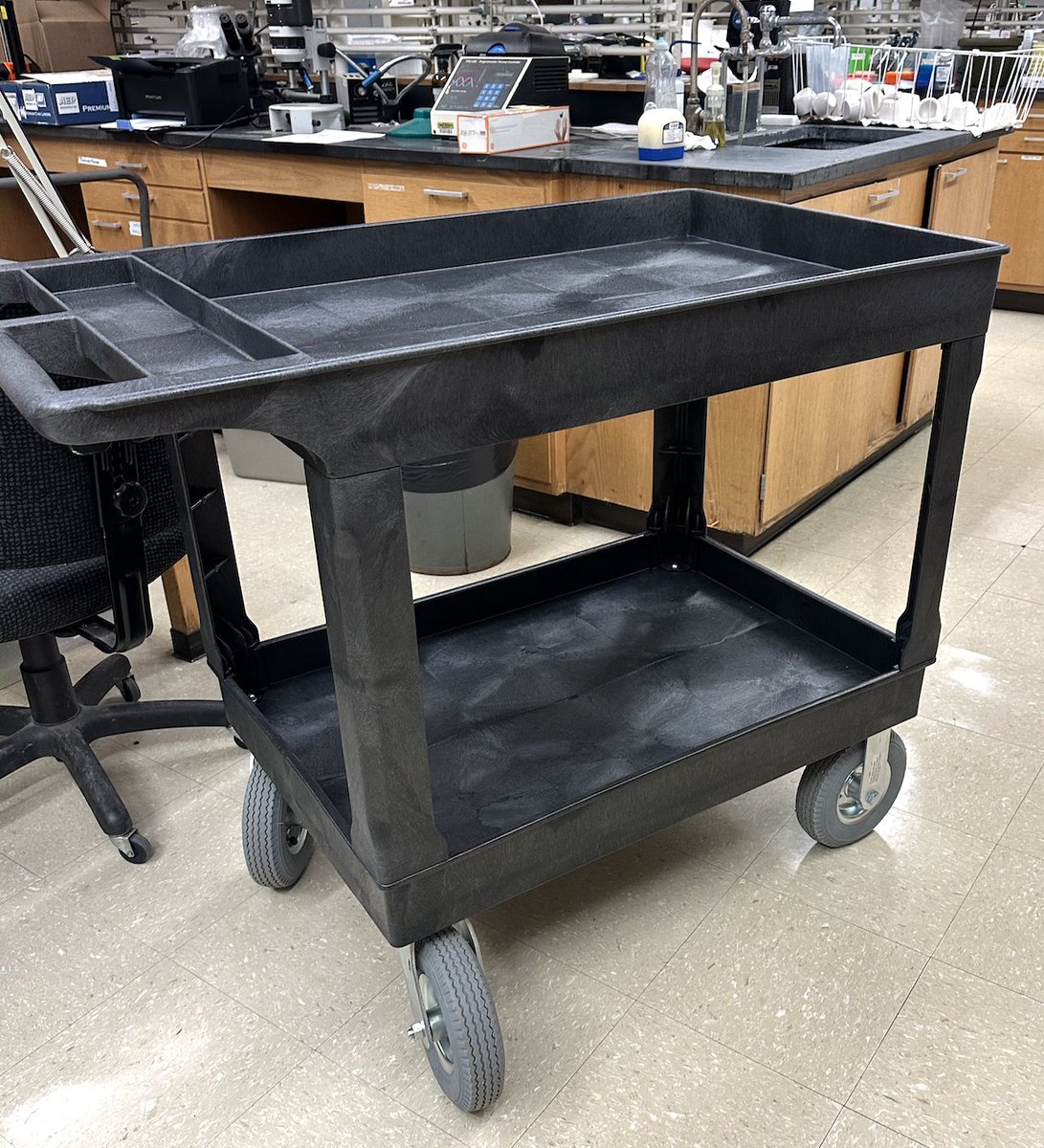 Damon Lisch tweet media