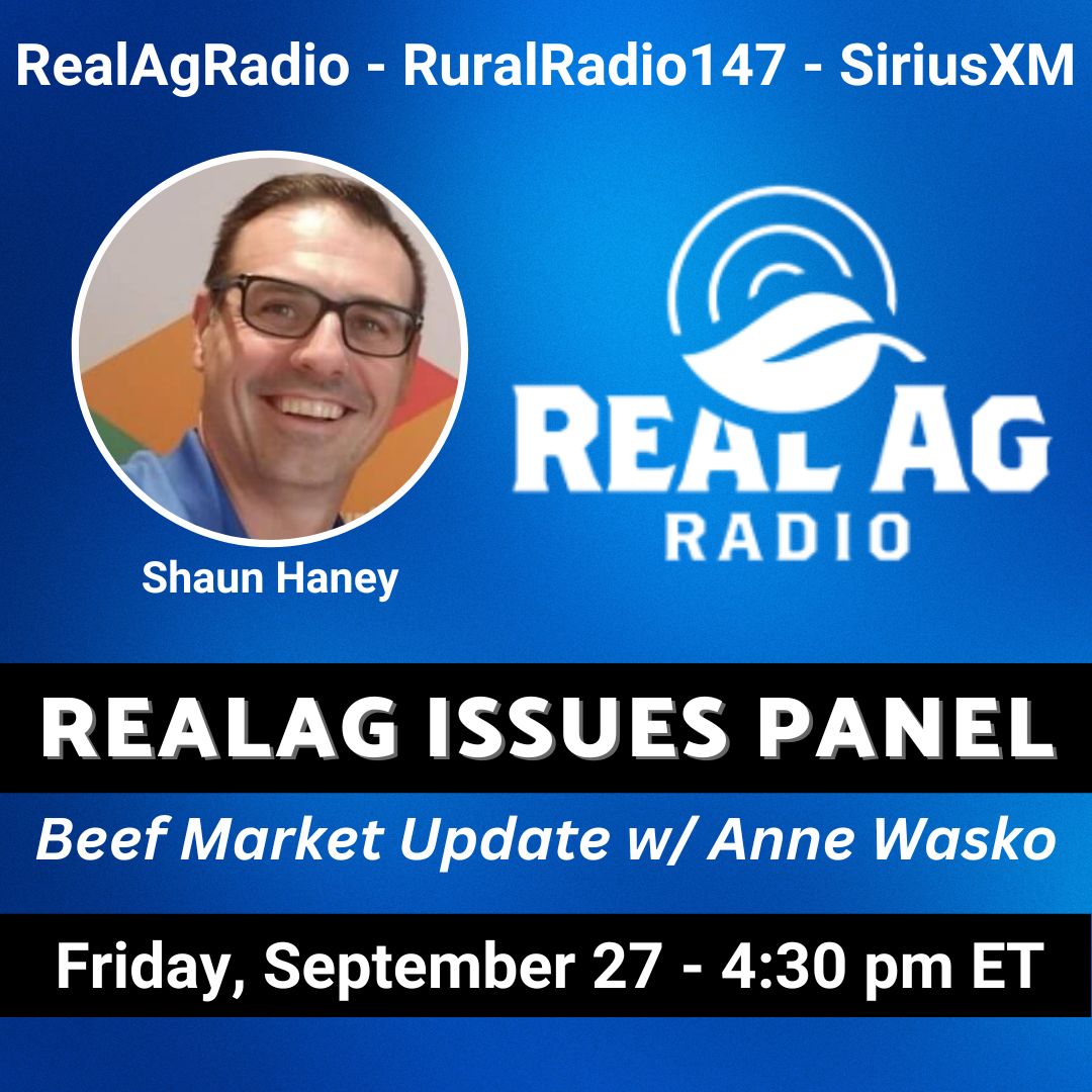RealAgriculture (@realagriculture) on Twitter photo Catch #RealAgRadio at 430E on <a href="/RuralRadio147/">RURALRADIO147</a>! <a href="/ShaunHaney/">Shaun Haney</a> is joined by <a href="/AnneWasko/">Anne Wasko</a> of the Gateway Livestock Exchange for the #BeefMarketUpdate. Then hear the #RealAgIssuesPanel w/ <a href="/KelvinHeppner/">Kelvin Heppner</a>, <a href="/RealLoudLyndsey/">Lyndsey Smith ๐๐</a> of RealAg, & Sask farmer <a href="/CherilynNagel/">Cherilyn Nagel</a>! Catch #RealAgRadio at 430E on <a href="/RuralRadio147/">RURALRADIO147</a>! <a href="/ShaunHaney/">Shaun Haney</a> is joined by <a href="/AnneWasko/">Anne Wasko</a> of the Gateway Livestock Exchange for the #BeefMarketUpdate. Then hear the #RealAgIssuesPanel w/ <a href="/KelvinHeppner/">Kelvin Heppner</a>, <a href="/RealLoudLyndsey/">Lyndsey Smith ๐๐</a> of RealAg, & Sask farmer <a href="/CherilynNagel/">Cherilyn Nagel</a>!