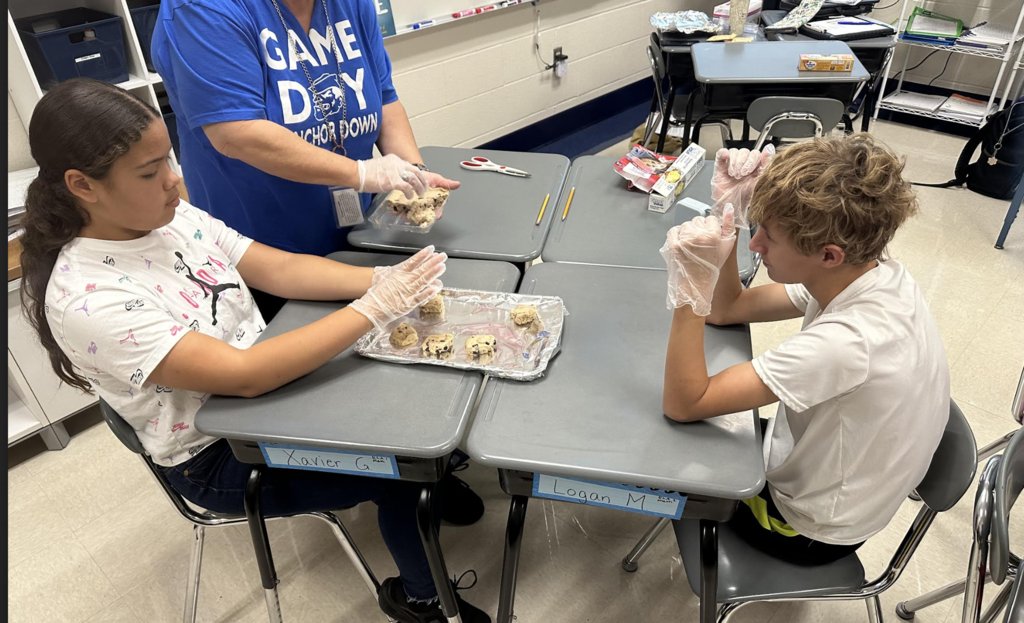 MidviewEast tweet media