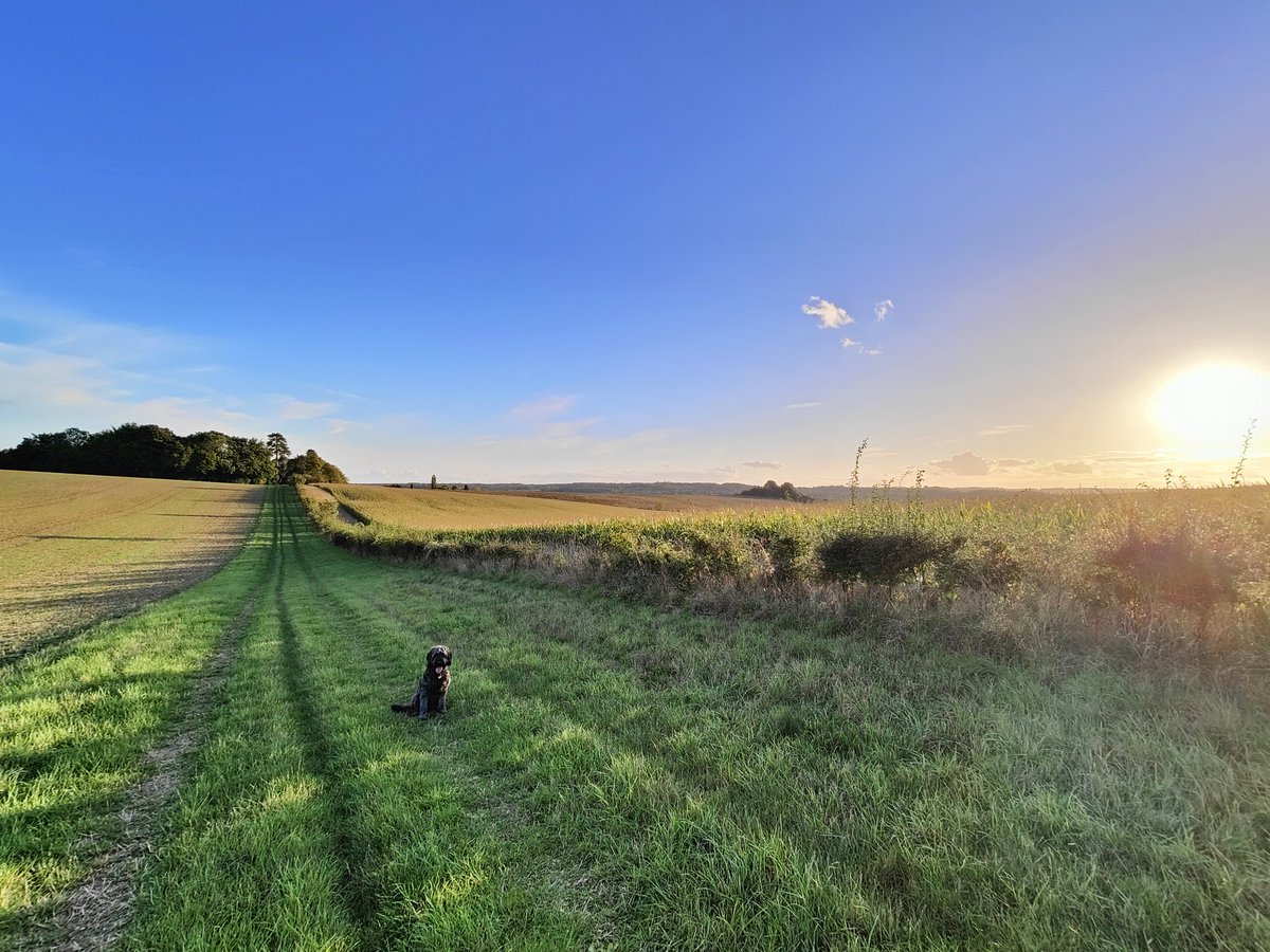 Edward Portal tweet media