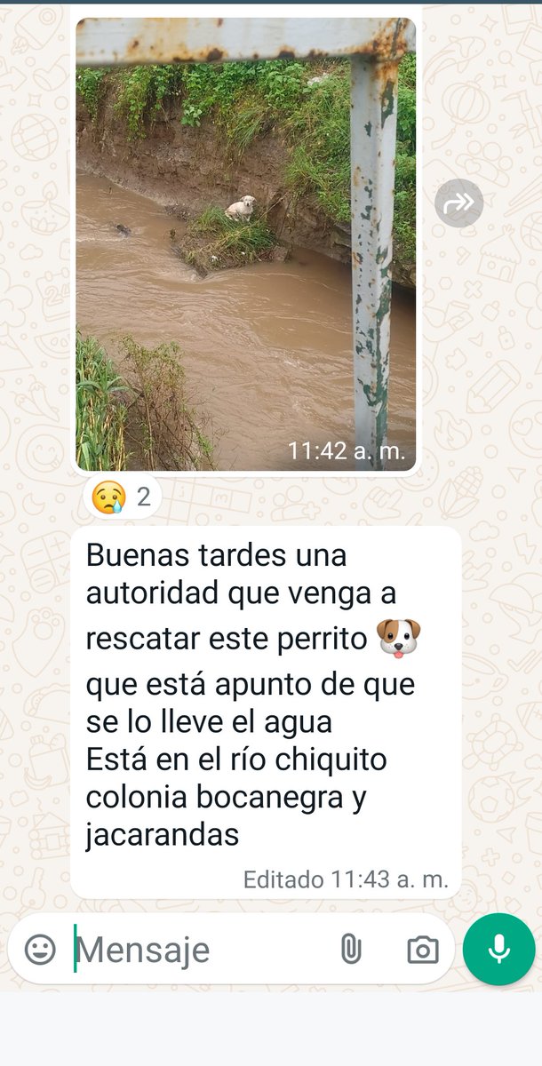 motahoo's tweet photo. @Policia_Morelia , @Moreliactiva , ¿alguien podrá apoyar? https://t.co/0JcYJrdw0j