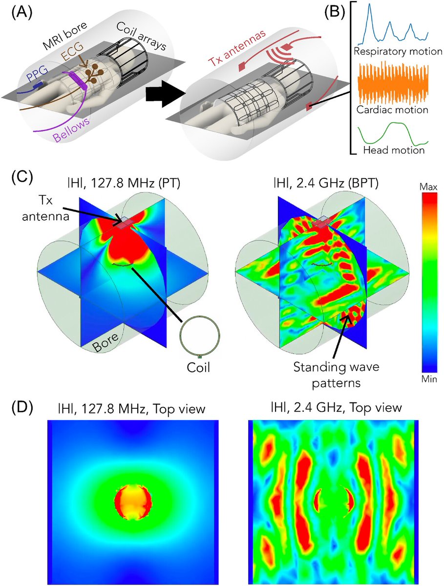 Miki Lustig tweet media