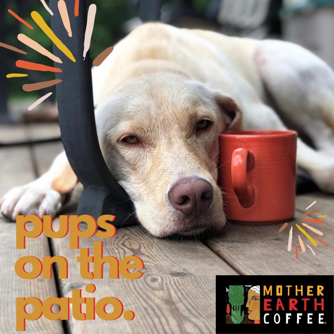 Mother Earth Coffee tweet media