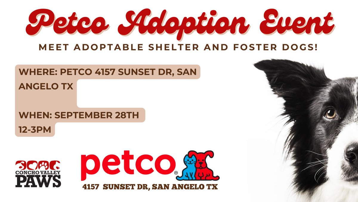 Looking for a furry friend? Join us this Saturday at Petco to meet adorable shelter and foster dogs ready for their forever homes! Come find your new best buddy from 12-3pm! 

**Discounted spay and neuter vouchers will be for sale as supplies lasts!!