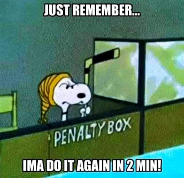 PCAHA Female Hockey tweet media