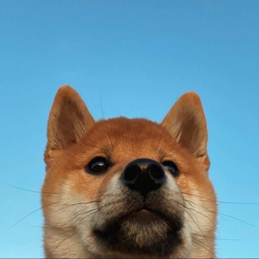 FintechCaesar's tweet photo. $ozark is he famous yet? 

https://t.co/kgUgNRwbZu https://t.co/vuKS8fs1mT