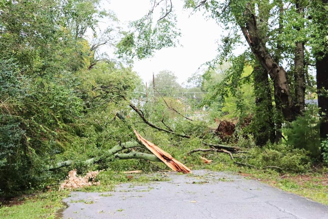 Hurricane Helene winds and rain has most of Greenwood without power and impassible roads. Here's a glimpse at the destruction. Everyone stay safe out there!