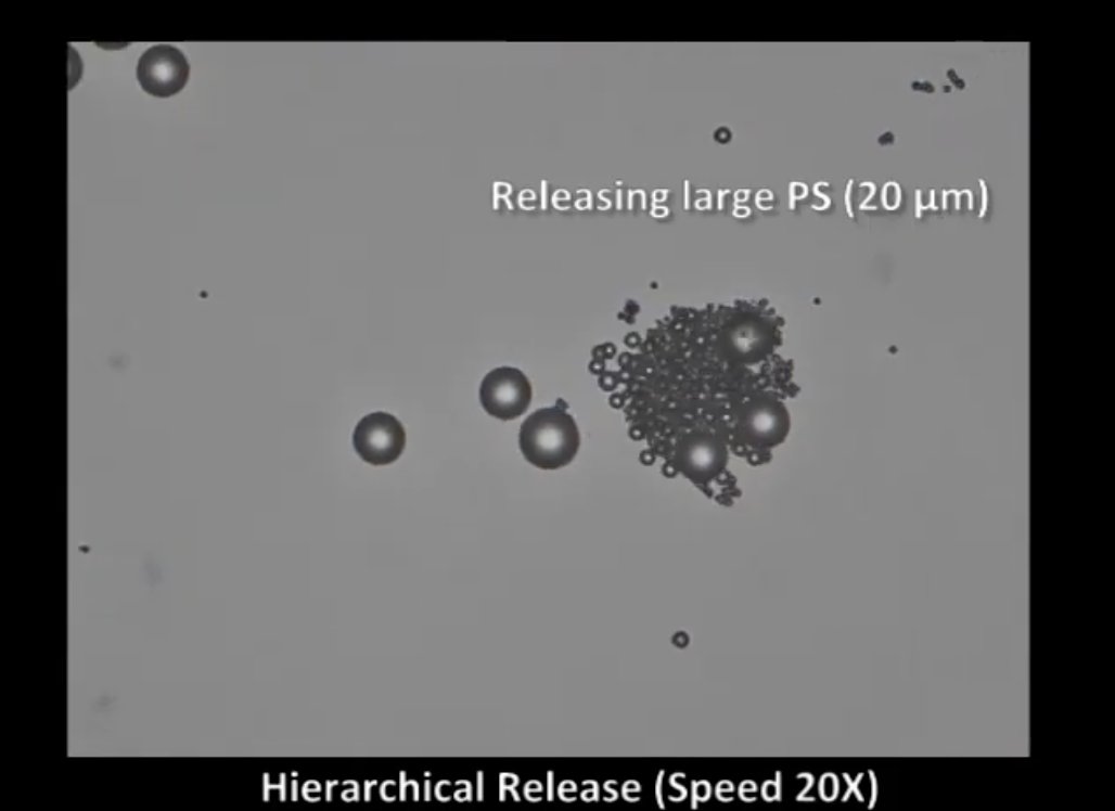 It's been 20 years since the widely-acknowledged first existing paper detailing the field of autonomous #nanomotors was published by our very own <a href="/ayusmansen/">Catalyst</a> and a team of #PennState researchers!

science.psu.edu/news/penn-stat…
