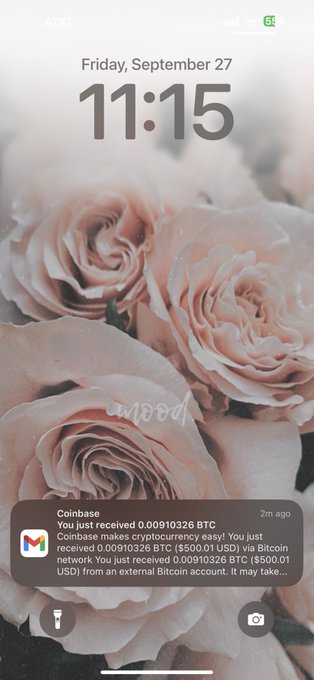 next wallet may approach https://t.co/1lG7ZoszdV