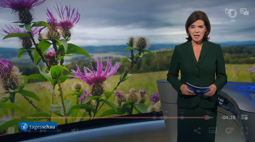 Biologische Schutzgemeinschaft (@bsggoettingen) on Twitter photo Da schaut man doch auch als Botaniker*in gerne <a href="/tagesschau/">tagesschau</a> 🥰
Die Perücken-Flockenblume (Centaurea pseudophrygia) als stimmungsvolle Kulisse für die Wetteransage - eine schöne, gefährdete Art. <a href="/Flora_Incognita/">Flora Incognita</a> <a href="/RoteListe_RLZ/">Rote-Liste-Zentrum</a>
Und dann auch noch moderiert von Susanne Daubner 💪 Da schaut man doch auch als Botaniker*in gerne <a href="/tagesschau/">tagesschau</a> 🥰
Die Perücken-Flockenblume (Centaurea pseudophrygia) als stimmungsvolle Kulisse für die Wetteransage - eine schöne, gefährdete Art. <a href="/Flora_Incognita/">Flora Incognita</a> <a href="/RoteListe_RLZ/">Rote-Liste-Zentrum</a>
Und dann auch noch moderiert von Susanne Daubner 💪