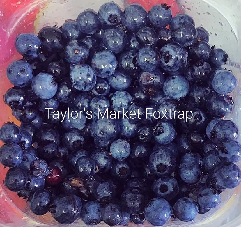 Fresh local wild blueberries!!!
#local #nl #wildberries #foxtrap #nlfood #forage  #stjohns #NewfoundlandLabrador
