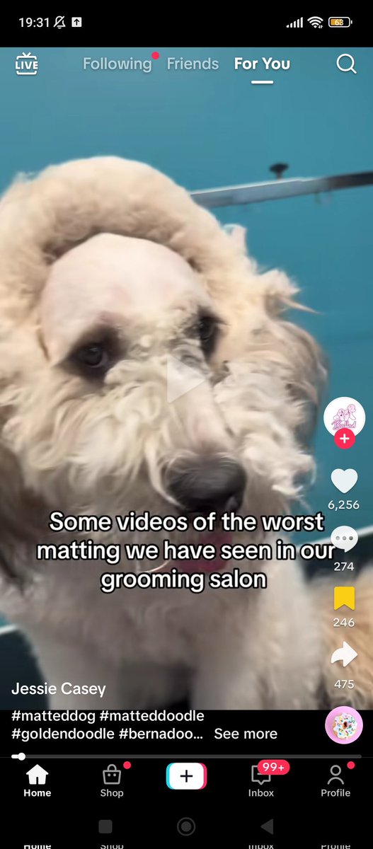 milena☆ tweet media