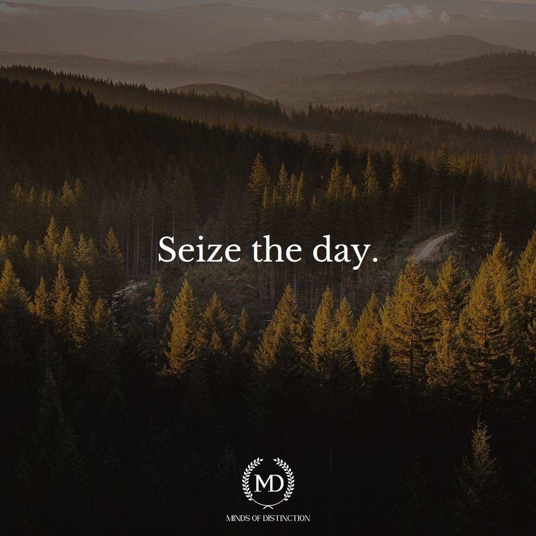 "Seize the day" reminds us to embrace each moment with purpose. Life is filled with opportunities—don't wait for the perfect time, make every moment count. Step out of your comfort zone, chase your dreams, and live fully! 🚀 #CarpeDiem #SeizeTheDay #LiveFully