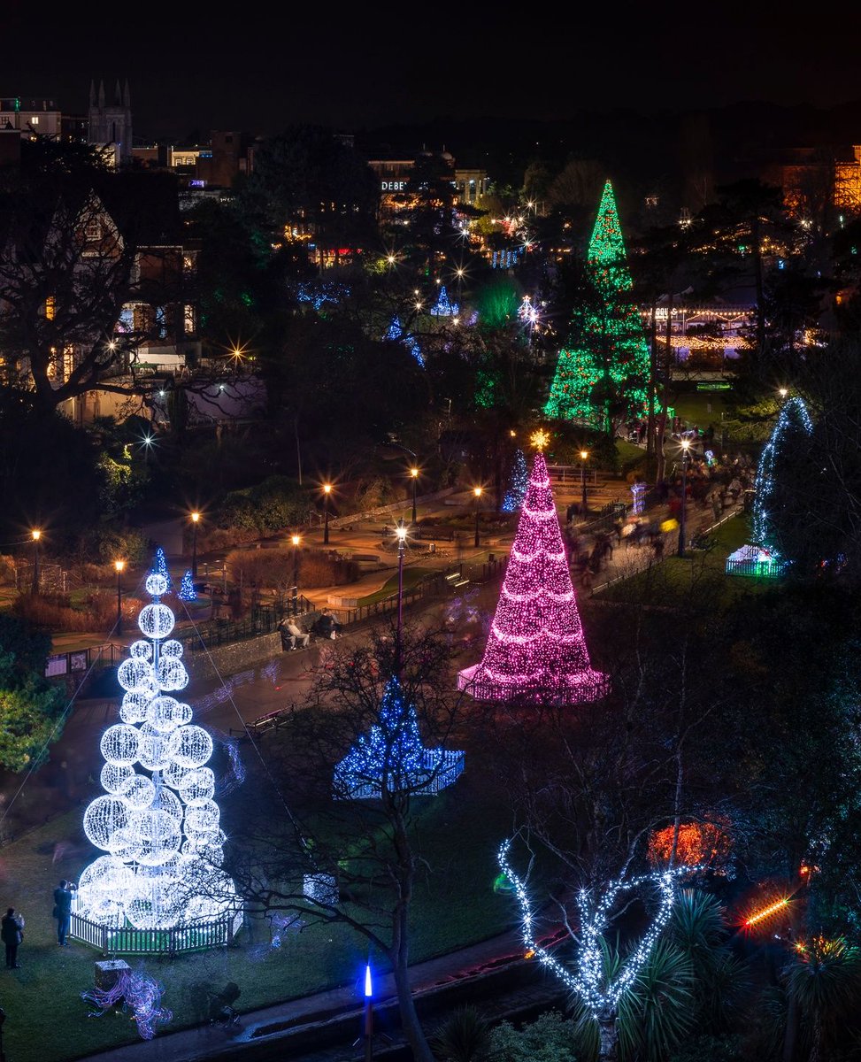 Christmas Tree Wonderland tweet media