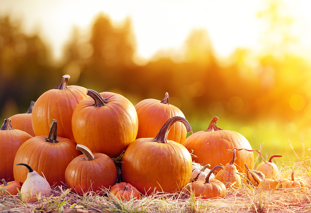 Janet Attard tweet media