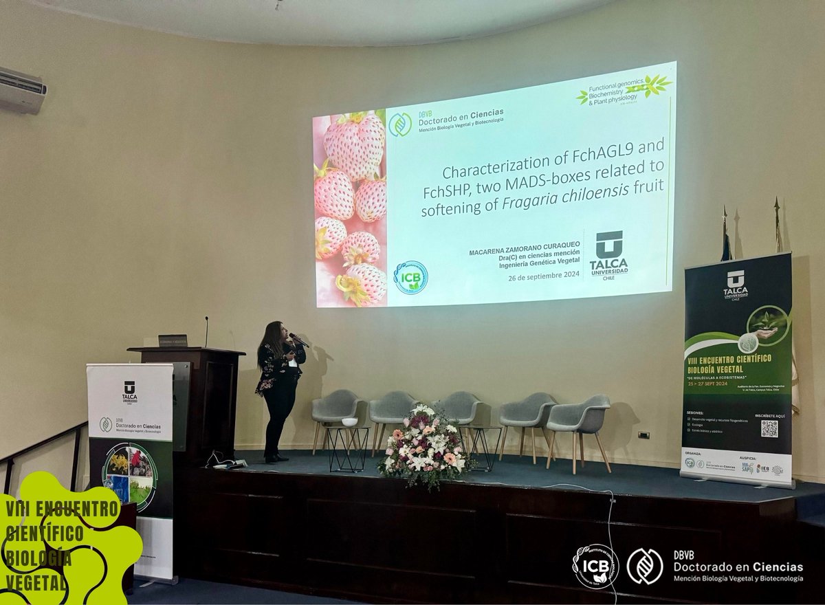 dbvb_utalca's tweet photo. #VIIIEncuentroCientíficoBiologíaVegetal 🌳[ #Día2JornadaTarde - Segunda Parte]

El segundo día, en la parte final de la jornada de la tarde, se continuó con la sesión de  #ShortTalks 🗣️ https://t.co/Btq5Pi78hy